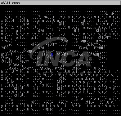  [그림 3] Whitelist 관련 문자열이 포함된 메모리 영역